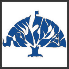 Congregation Emanuel Israel Logo